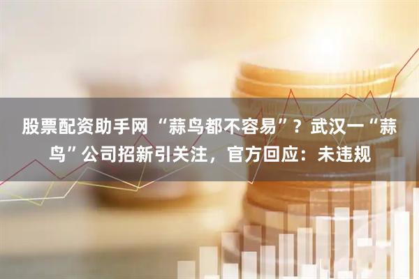股票配资助手网 “蒜鸟都不容易”？武汉一“蒜鸟”公司招新引关注，官方回应：未违规