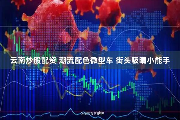 云南炒股配资 潮流配色微型车 街头吸睛小能手